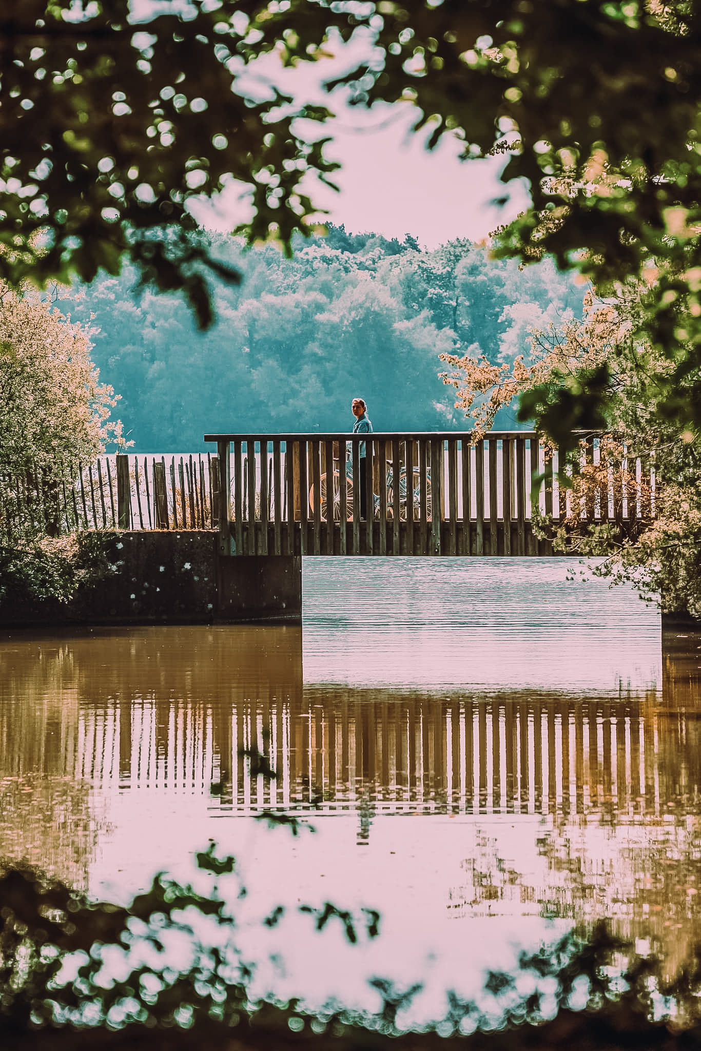 Balade à vélo à la Forêt (1)
